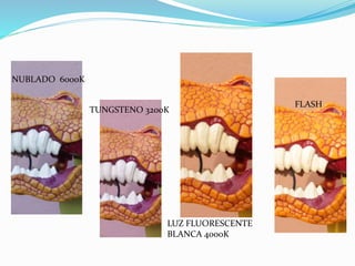 NUBLADO 6000K
TUNGSTENO 3200K
LUZ FLUORESCENTE
BLANCA 4000K
FLASH
 