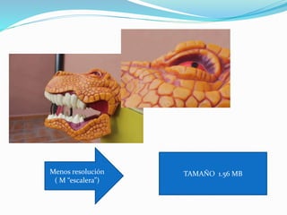 TAMAÑO 1.56 MBMenos resolución
( M “escalera”)
 