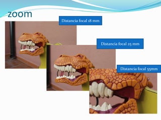 zoom Distancia focal 18 mm
Distancia focal 55mm
Distancia focal 25 mm
 