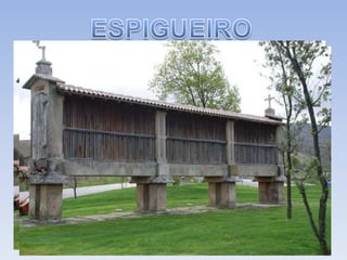 ESPIGUEIRO