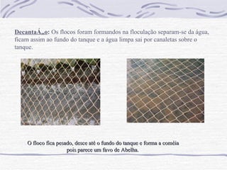 Decantação :  Os flocos foram formandos na floculação separam-se da água, ficam assim ao fundo do tanque e a água limpa sai por canaletas sobre o tanque.   O floco fica pesado, desce até o fundo do tanque e forma a coméia pois parece um favo de Abelha.   