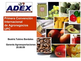 Primera Convención
Internacional
de Agronegocios
UPC
Beatriz Tubino Bardales
Gerente Agroexportaciones
20.08.09
 