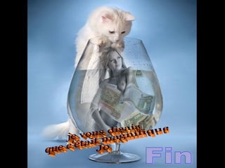 Fin je vous disais que c'était magnifique Jo