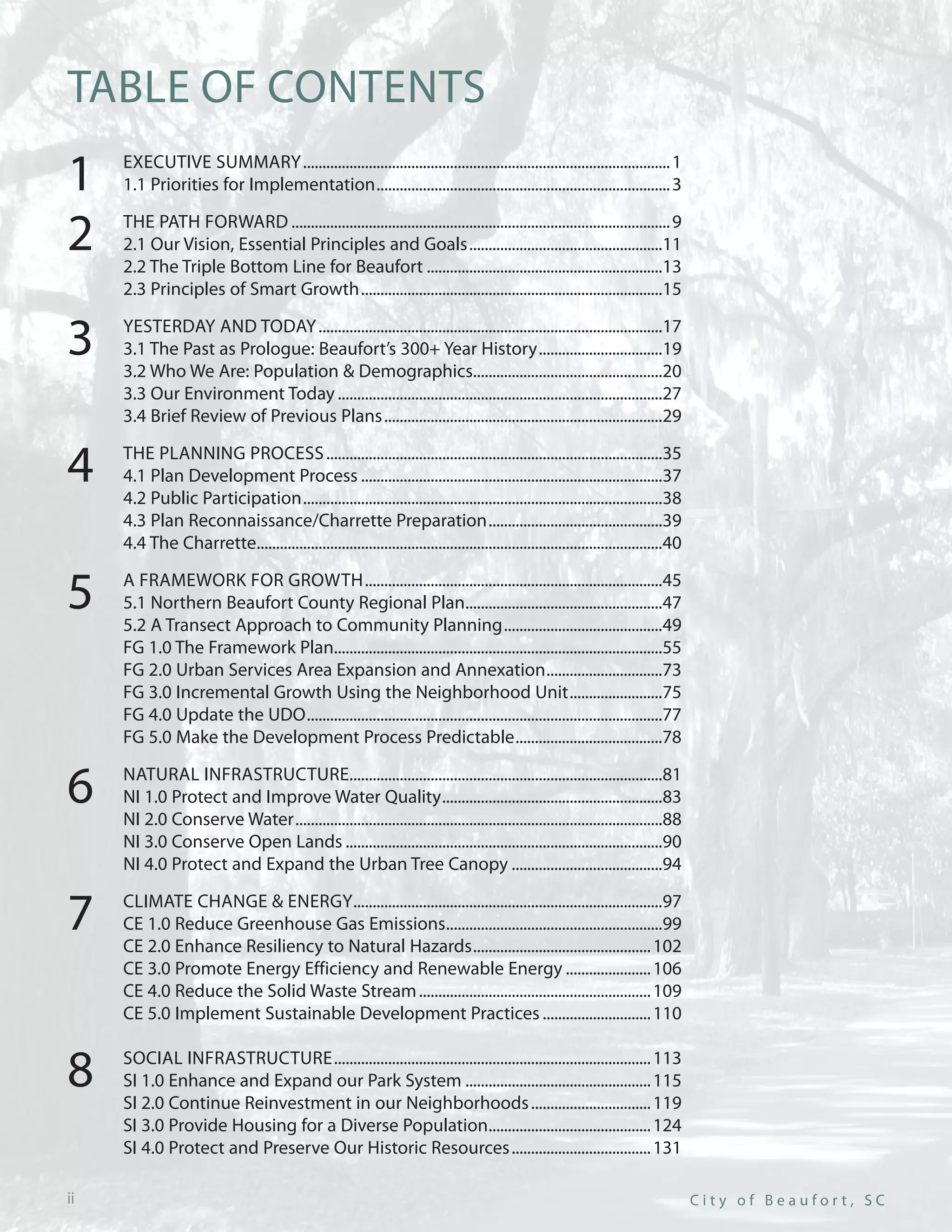2009 Comprehensive Plan Pdf