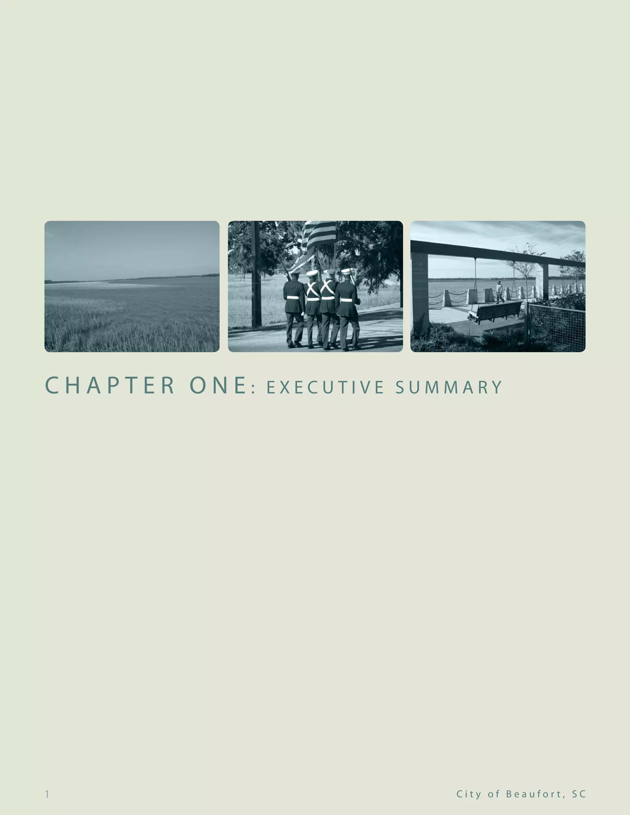 2009 Comprehensive Plan Pdf