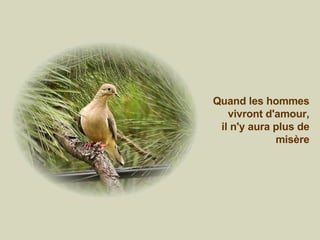 Quand les hommes vivront d'amour, il n'y aura plus de misère 