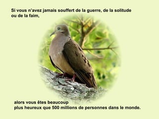 alors vous êtes beaucoup  plus heureux que 500 millions de personnes dans le monde.   Si vous n’avez jamais souffert de la guerre, de la solitude  ou de la faim, 