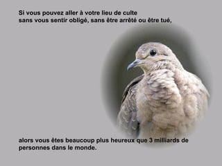 Si vous pouvez aller à votre lieu de culte sans vous sentir obligé, sans être arrêté ou être tué,  alors vous êtes beaucoup plus heureux que 3 milliards de   personnes dans le monde. 