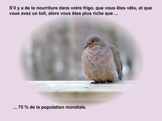 S’il y a de la nourriture dans votre frigo, que vous êtes vêtu, et que vous avez un toit, alors vous êtes plus riche que ... ... 75 % de la population mondiale. 