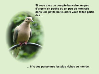 ... 8 % des personnes les plus riches au monde. Si vous avez un compte bancaire, un peu d’argent en poche ou un peu de monnaie dans une petite boîte, alors vous faites partie des ... 