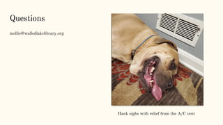 Questions
mollie@walledlakelibrary.org
Hank sighs with relief from the A/C vent
 