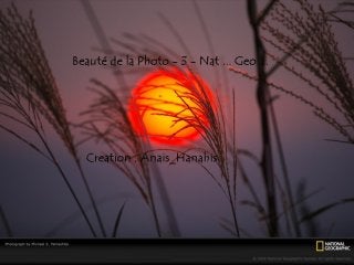 Beauté de la photo   3 - nat ... geo ...   by Anais-Hanahis
