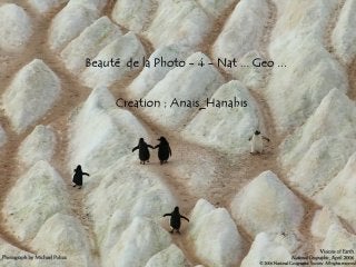 Beauté de la photo   4 - nat ... geo ...  by Anais-Hanahis