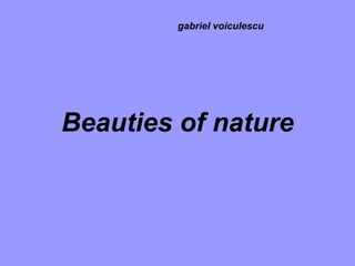 Beauties of nature gabriel voiculescu 