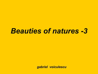 Beauties of natures -3 gabriel  voiculescu 