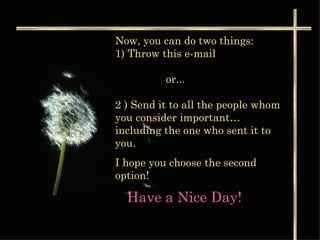 Now, you can do two things:  1) Throw this e-mail    or...  2 ) Send it to all the people whom you consider important… including the one who sent it to you. I hope you choose the second option!  Have a Nice Day!   
