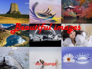 Beautiful images


     aut. change
 