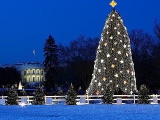  Beautiful Photos