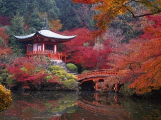  Beautiful Photos