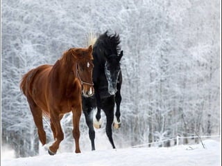  Beautiful Photos