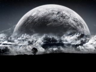  Beautiful Photos