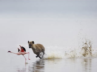  Beautiful Photos