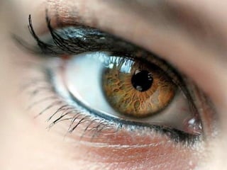  Beautiful Photos