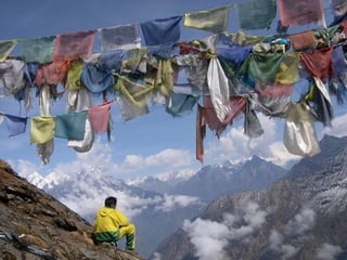  Beautiful Photos