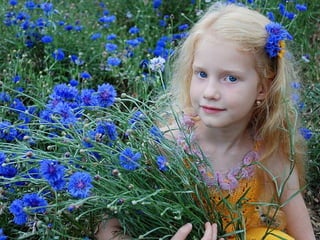  Beautiful Photos