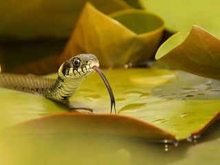  Beautiful Photos