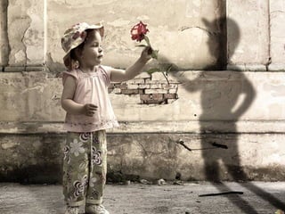  Beautiful Photos