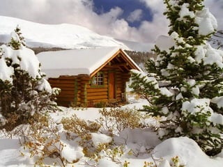  Beautiful Photos