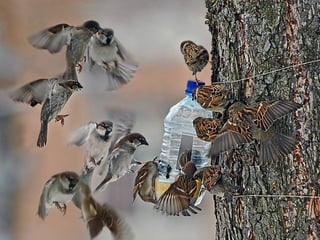  Beautiful Photos