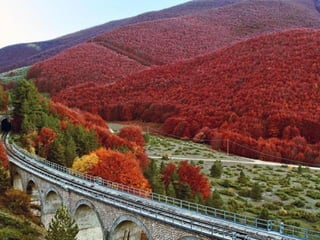  Beautiful Photos