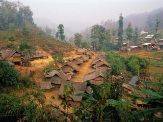  Beautiful Photos