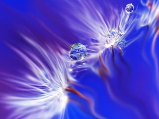  Beautiful Photos