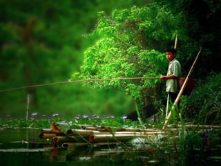  Beautiful Photos