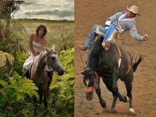  Beautiful Photos