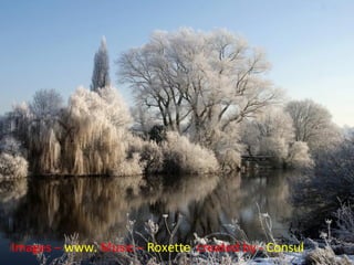Images – www. Music – Roxette created by - Consul
 