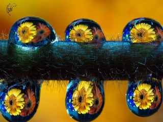  Beautiful Photos