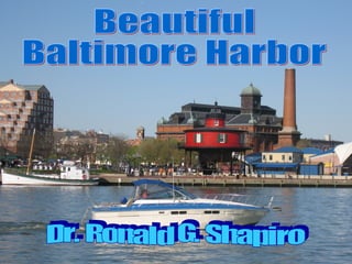 Dr. Ronald G. Shapiro  November 28, 2008 Beautiful Baltimore Harbor Dr. Ronald G. Shapiro 