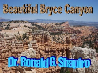 Dr. Ronald G. Shapiro  November 30, 2008 Beautiful Bryce Canyon Dr. Ronald G. Shapiro 