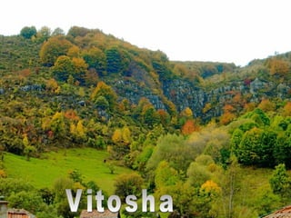 Vitosha 