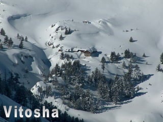 Vitosha 