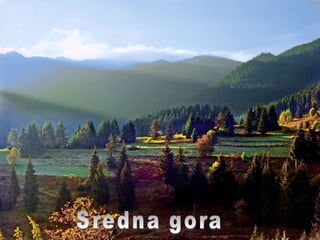 Sredna gora 