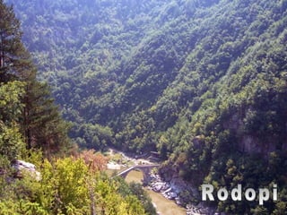 Rodopi 