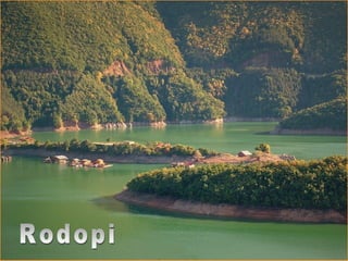 Rodopi 