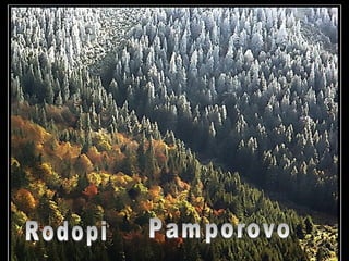 Rodopi Pamporovo 