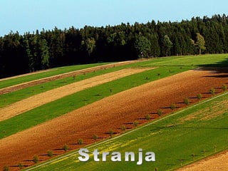 Stranja 