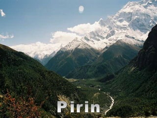 Pirin 